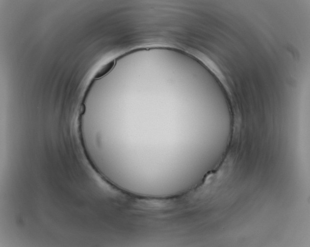 X0000113741197200910140957