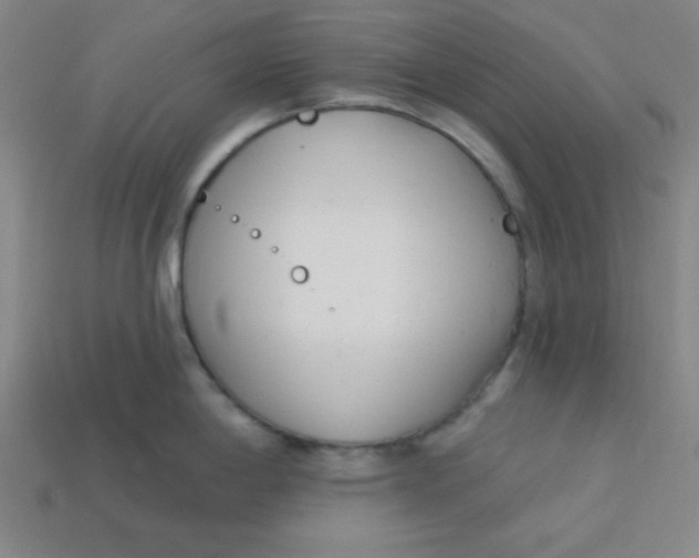 X0000113741198200910140957