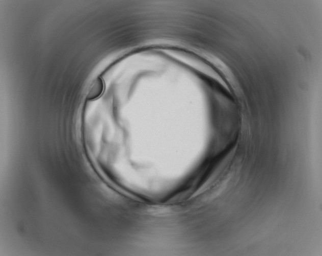 X0000113741199200910140957