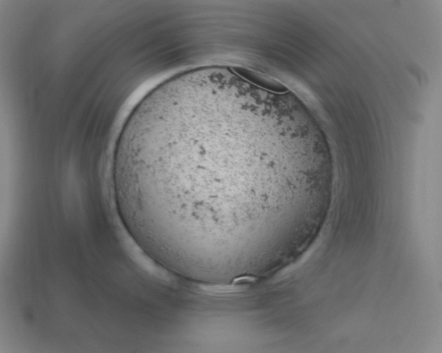 X0000113741200200910140957