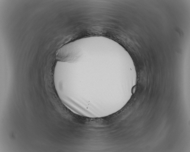 X0000113741201200910140956