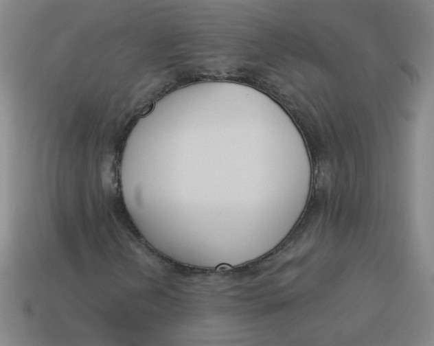 X0000113741202200910140956