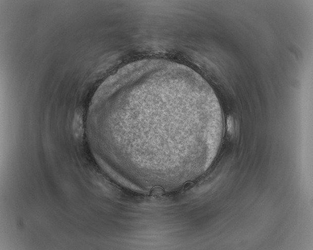 X0000113741203200910140956