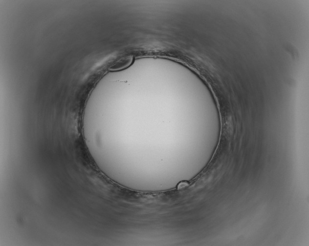 X0000113741205200910140956