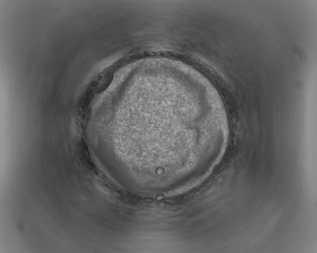 X0000113741207200910140956