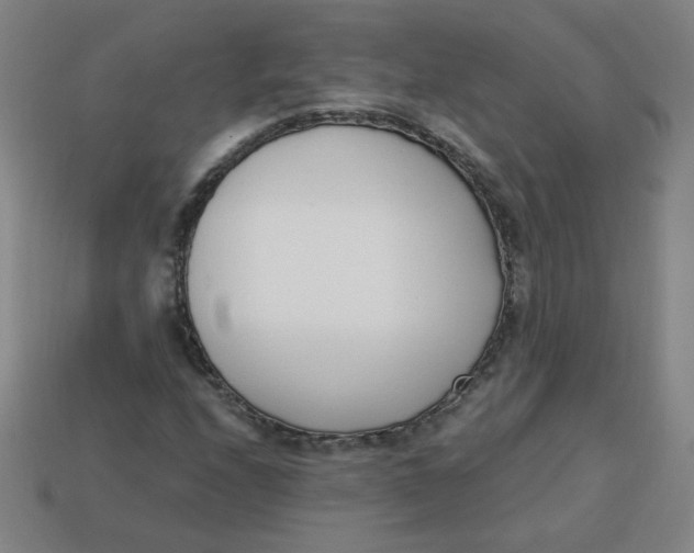 X0000113741208200910140956