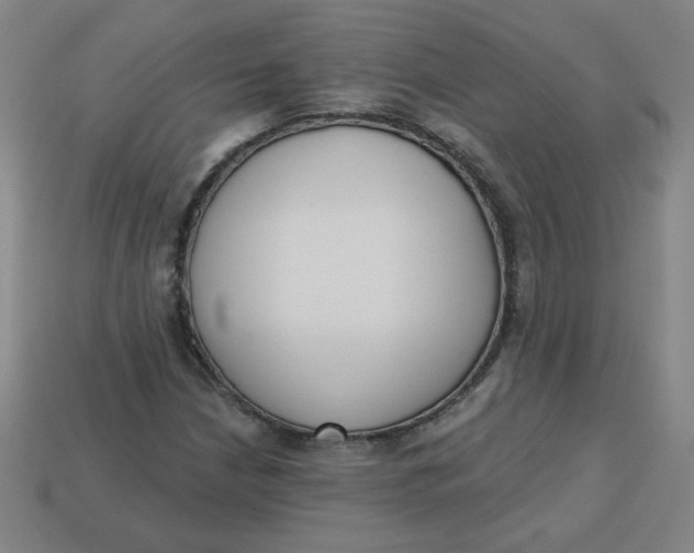 X0000113741210200910140956