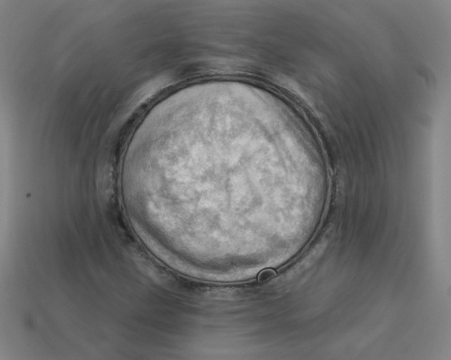 X0000113741211200910140956