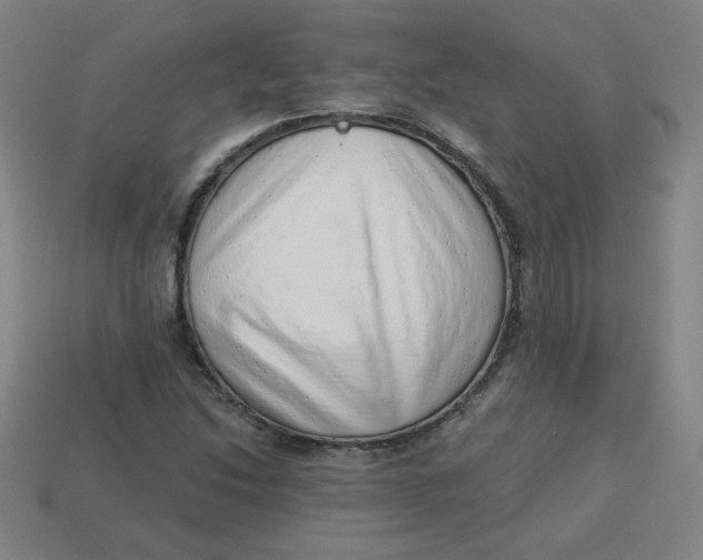 X0000113741214200910140956