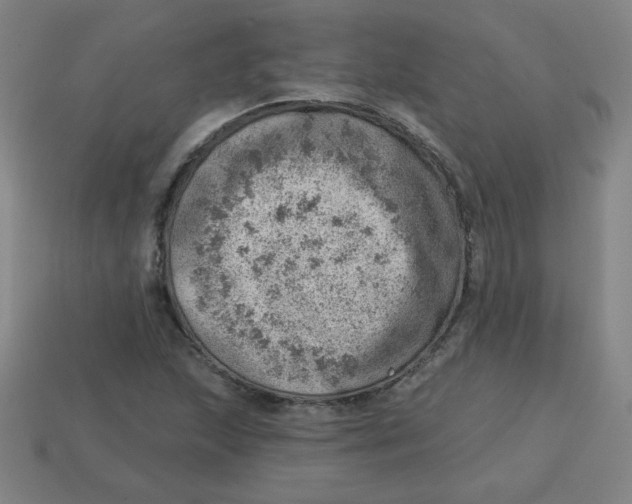 X0000113741215200910140956