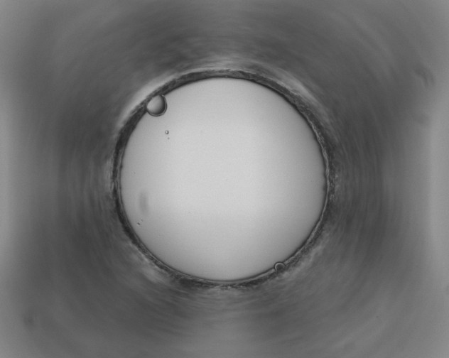 X0000113741216200910140956