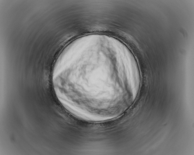 X0000113741217200910140956