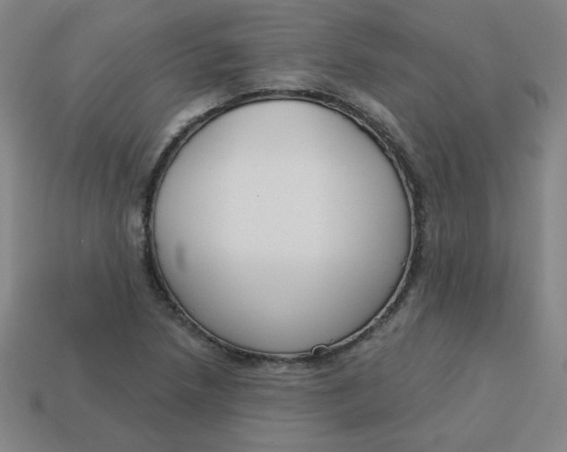 X0000113741218200910140956