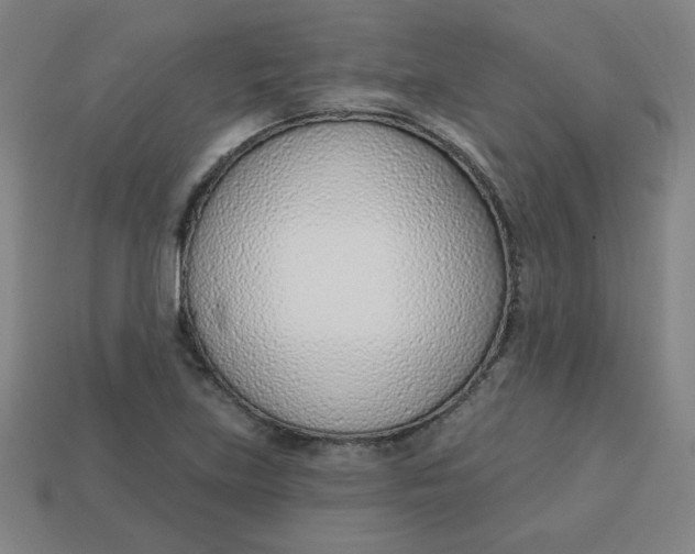 X0000113741219200910140956