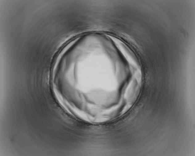 X0000113741220200910140956