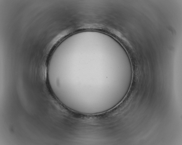 X0000113741221200910140956