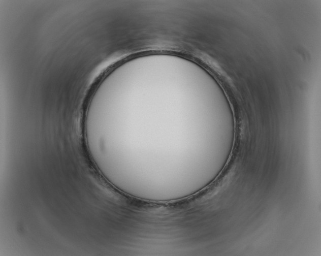 X0000113741222200910140956