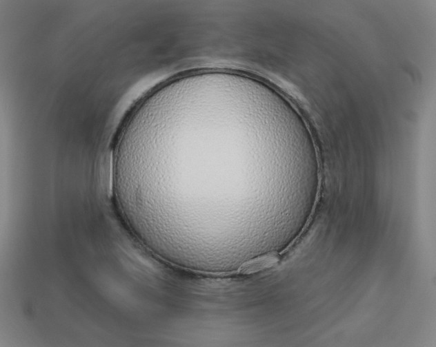 X0000113741223200910140956