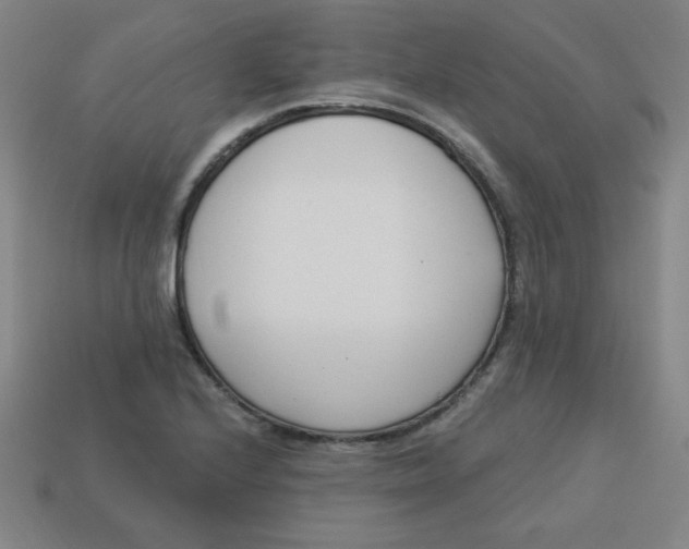 X0000113741224200910140956