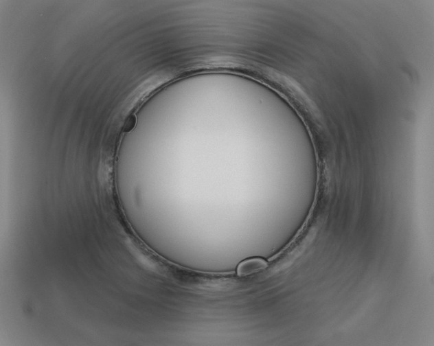 X0000113741225200910140956