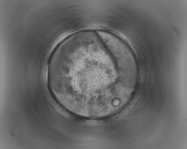 X0000113741227200910140956