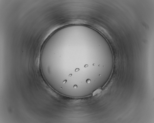 X0000113741228200910140956