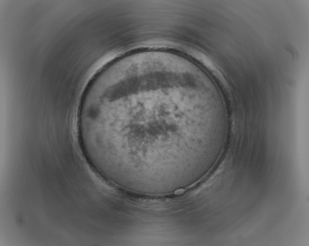 X0000113741229200910140956