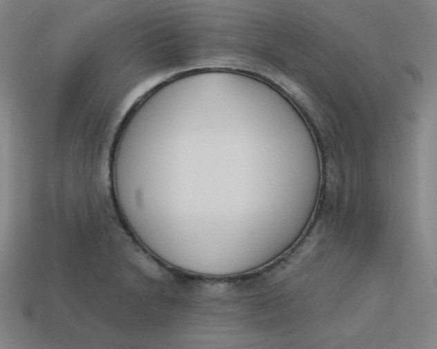 X0000113741230200910140956