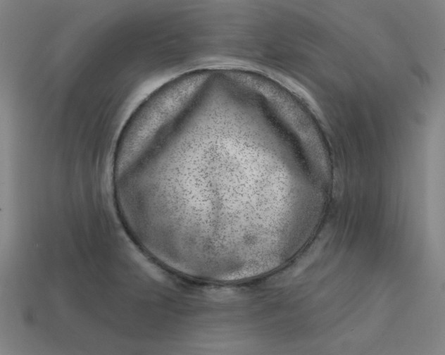 X0000113741231200910140956