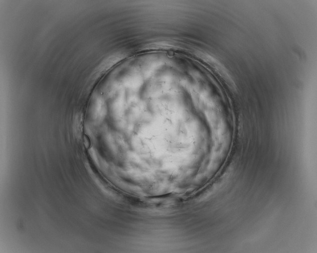 X0000113741233200910140956