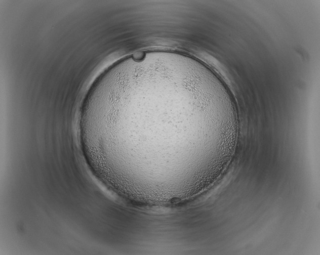 X0000113741235200910140956