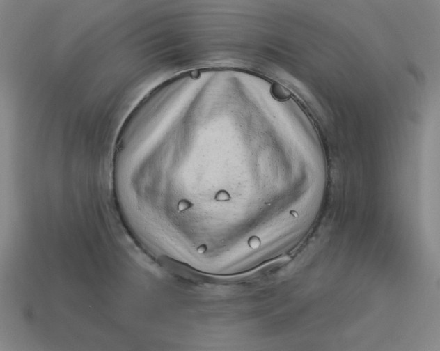 X0000113741236200910140956