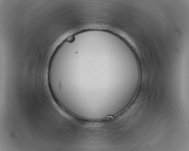 X0000113741237200910140956