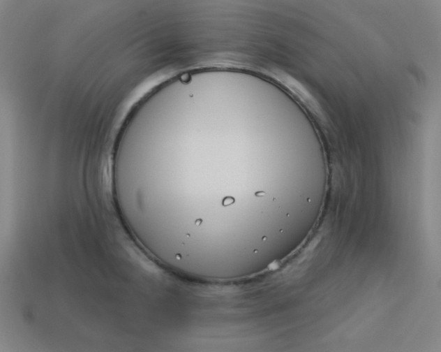 X0000113741238200910140956