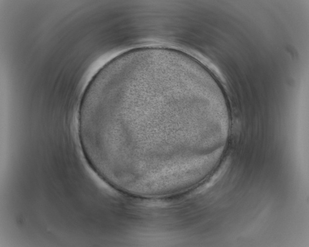 X0000113741239200910140956