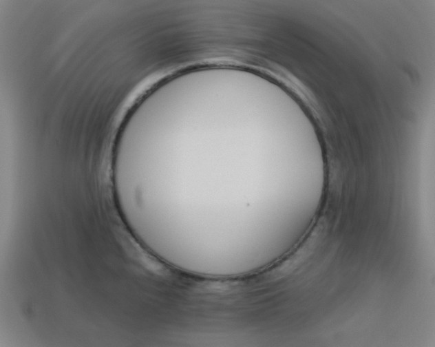 X0000113741240200910140957