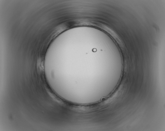 X0000113741241200910140957