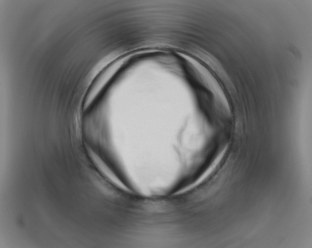 X0000113741242200910140957