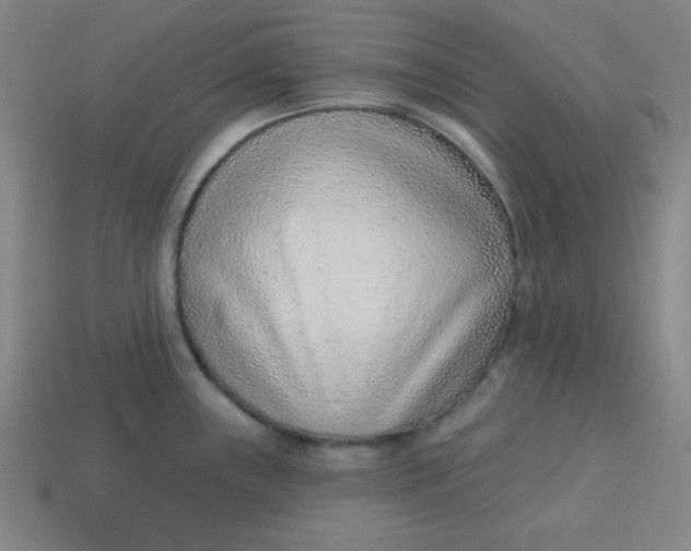 X0000113741243200910140957