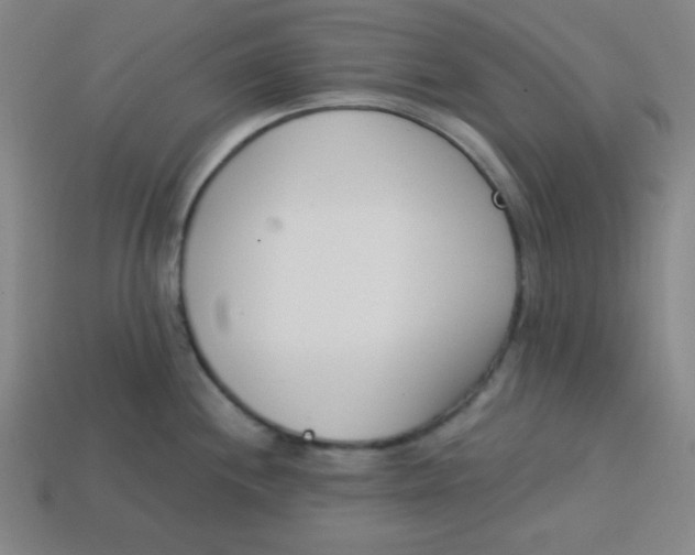 X0000113741244200910140957