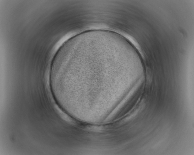 X0000113741245200910140957