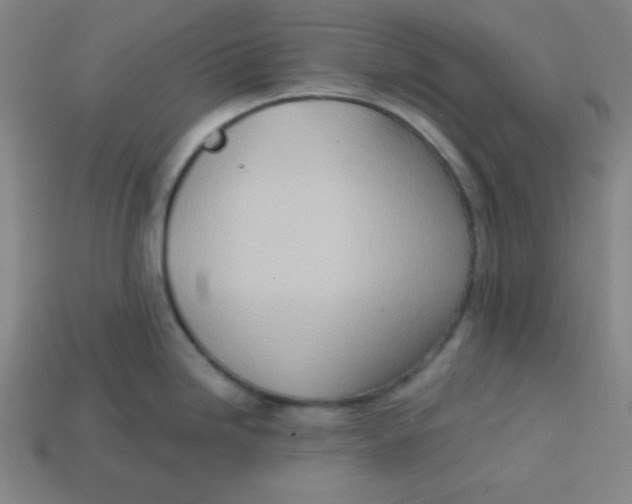 X0000113741246200910140957