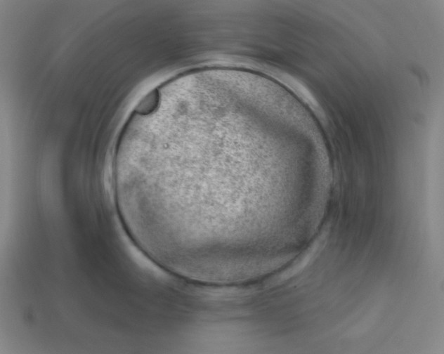 X0000113741247200910140957