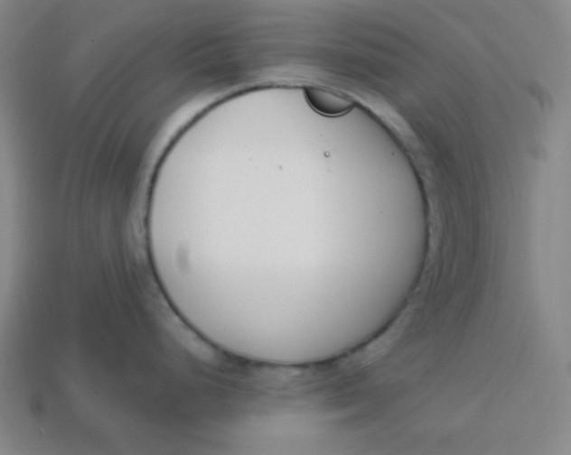 X0000113741248200910140957