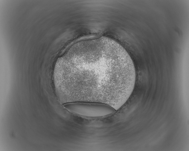 X0000113741249200910140956