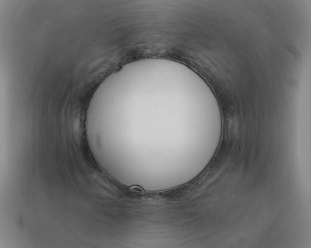 X0000113741250200910140956