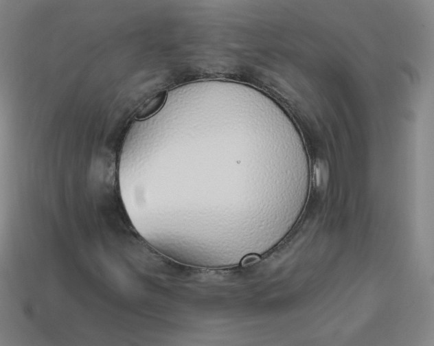 X0000113741251200910140956