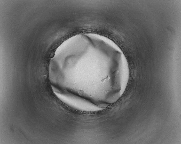 X0000113741253200910140956