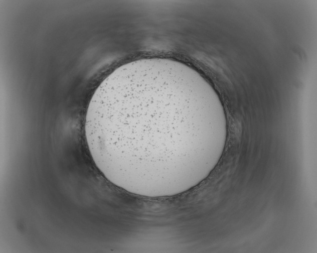 X0000113741254200910140956