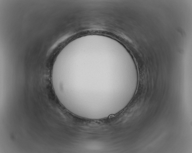 X0000113741255200910140956